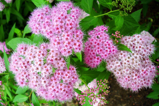 632856 (a): :1920x1280